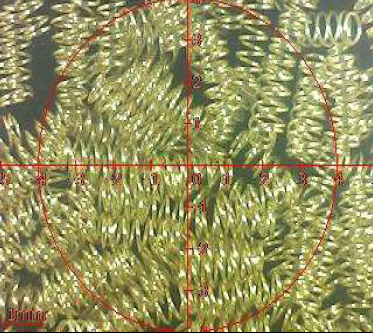 ROHS fjederbelægningsprodukt Pogo pin testrapport